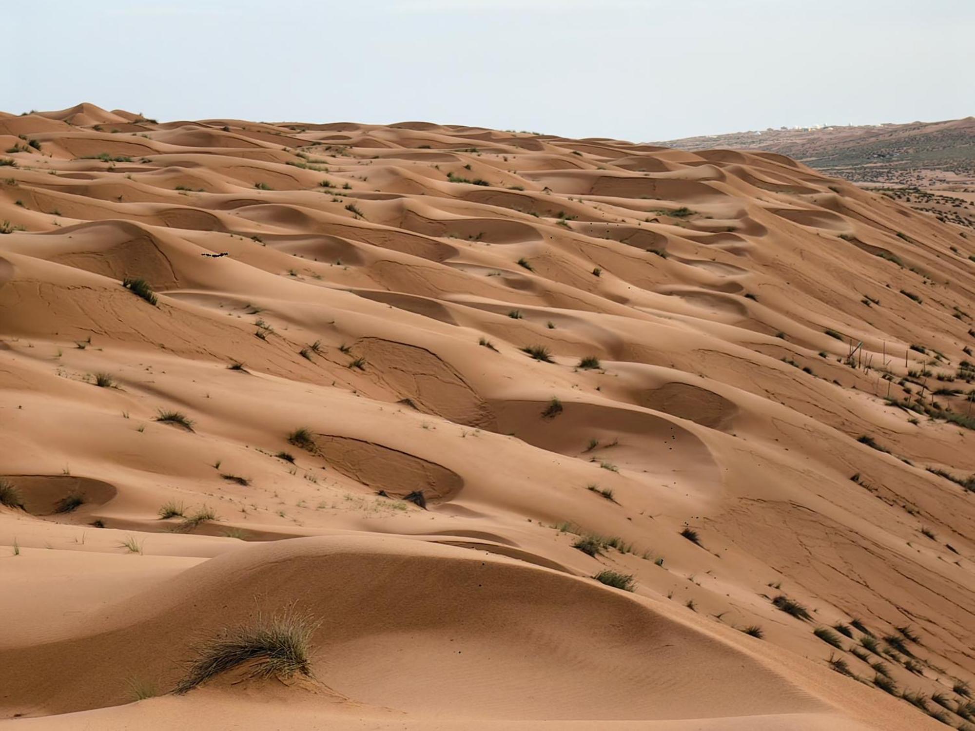 Desert Rose Camp Badīyah 外观 照片